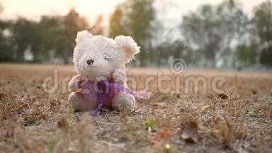 可爱的小女孩<strong>走路</strong>拥抱泰迪熊，坐在<strong>地上</strong>与爱在夏季公园。 快乐之气的概念